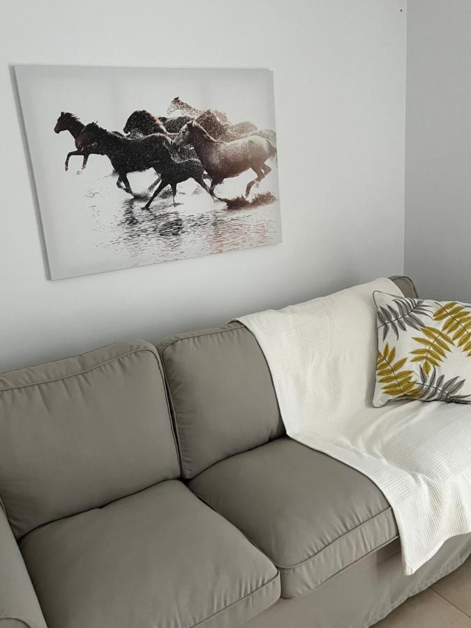 Sherry Suites VI Apartamentos Parking Gratuito Jerez de la Frontera Dış mekan fotoğraf